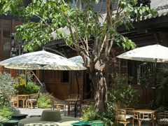 -成都市活水公园