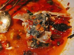 -坛宗剁椒鱼头(河西王府井店)