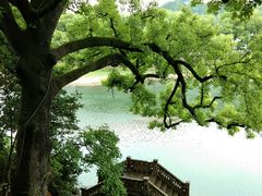 -蒋氏故居