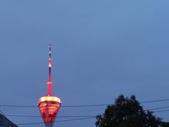 -郑件洋芋饭庄
