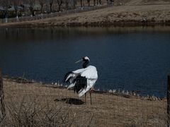 -沈阳森林动物园