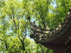 -天一阁博物院