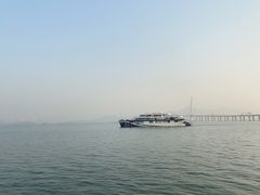 -深圳湾公园(南山区)