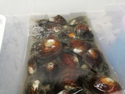 -邵老师打金·黄金加工(大望路总店)