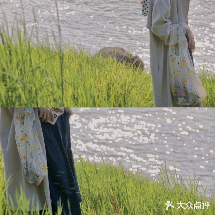 重庆踏青|小众打卡地-九曲河湿地公园