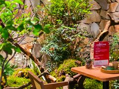 -森SPA·泰式按摩·精油Massage(宝安中心店)