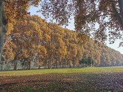 -河南省黄河迎宾馆