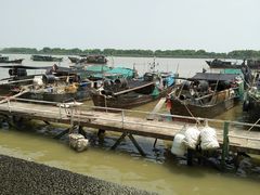 -南沙十九涌渔人码头-南门