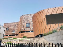 -中国宋庆龄青少年科技文化交流中心