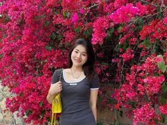 -厦门国家会计学院