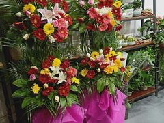 -淘花源花艺鲜花店 开业花篮 绿植(南部商务区店)