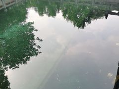 -百脉泉景区