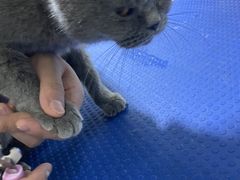 -佳雯宠物医院(金华南路分院)