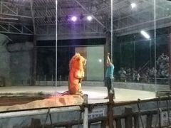 -清迈夜间动物园