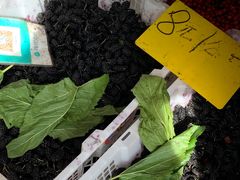 -五里多农博广场