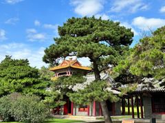 -北陵公园