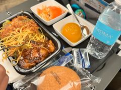 -新加坡航空公司(ION)