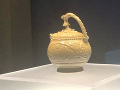 -陕西自然博物馆