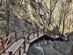 -大岭沟猕猴桃谷风景区