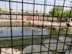 -河北村民俗体验园