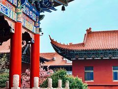 -皇罗禅寺