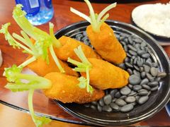 -丁老爷子苏香圆