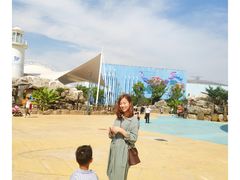 -芜湖新华联大白鲸海洋公园