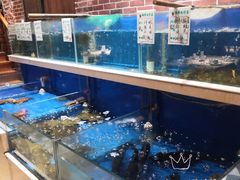 水产区-姜君·千岛湖鱼头馆(浦东大道店)