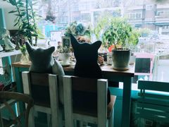 -Kitchen·Y洋厨房西餐厅(王府壹号店)