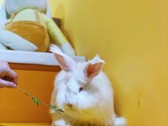 -茂业百货(东门店)