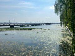 -阳澄湖半岛旅游度假区