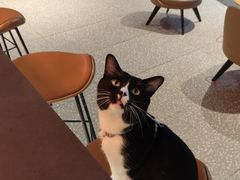 -星巴克臻选(上海合生汇1F店)