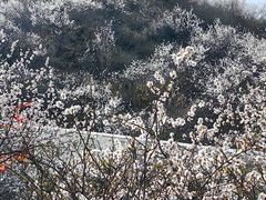 -鸡鸣山旅游风景区