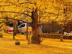 -塔川景区