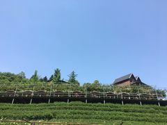 -天地生态农庄