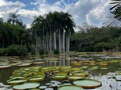 -中国科学院西双版纳热带植物园