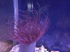 -沙沙哗啦海洋馆(华宇百花谷店)