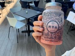 -野萃山·潮汕厚果汁(十亩地店)