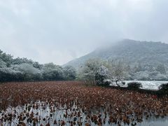 -八卦田遗址公园