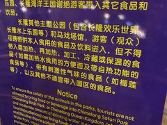 -广州长隆国际大马戏