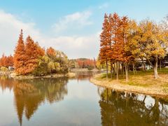 -尚贤河湿地