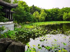 -高子水居