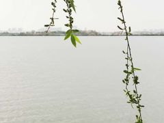 -瑶湖郊野森林公园