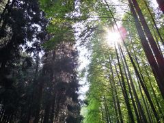 -山王坪喀斯特国家生态公园