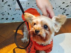 -Line 咖啡(石厦花园店)