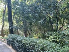 -杭州黄龙洞