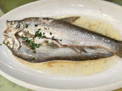 清蒸白鱼-石湖大酒店(桐泾店)