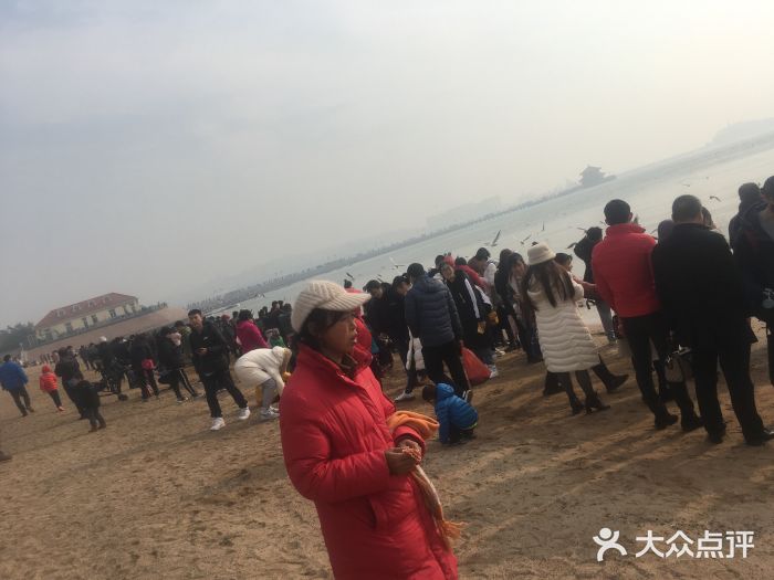 栈桥景区景点图片