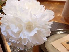 -Uncle Kosto科斯托·中东菜