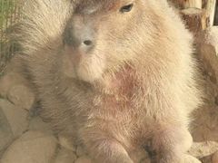 -祥源·阜阳生态乐园